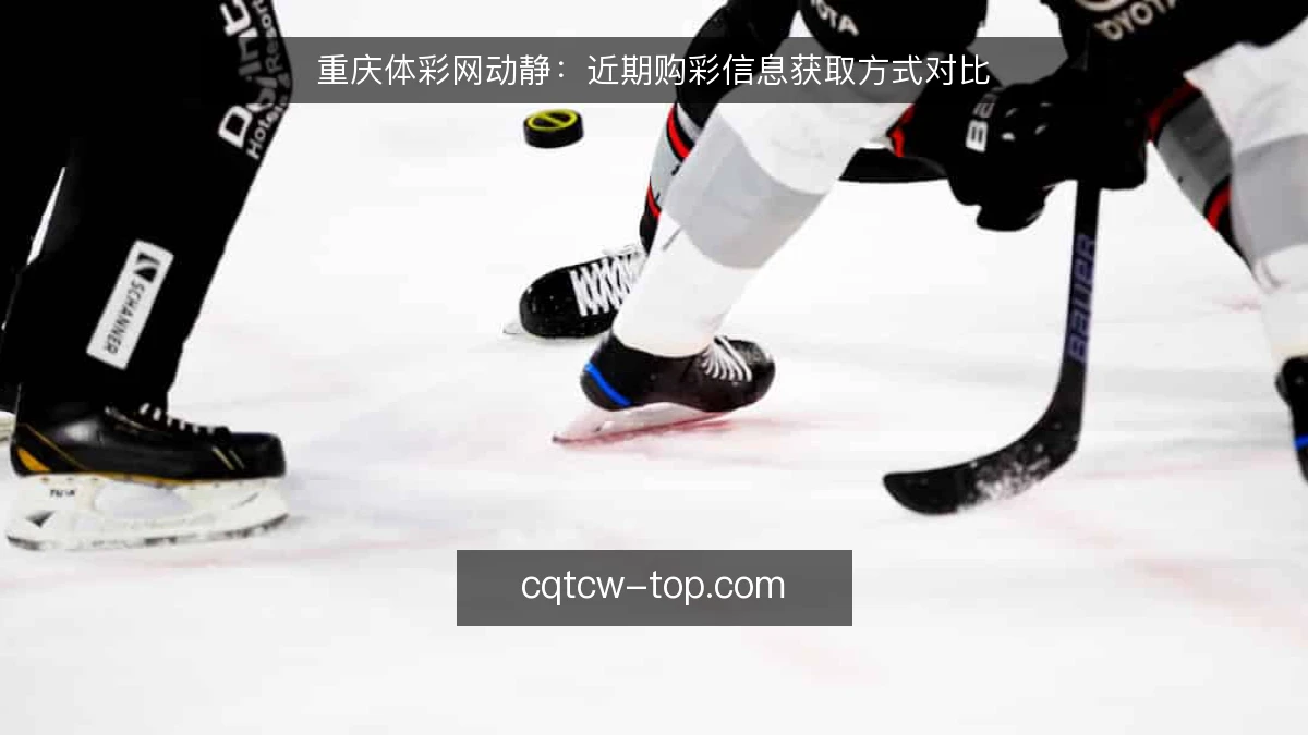 重庆体彩网动静：近期购彩信息获取方式对比